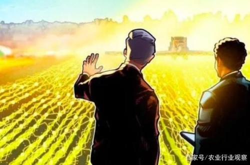 阿里数字农业进入“快速道”！