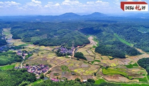 国际锐评丨绿色中国的雄心推动世界可持续发展