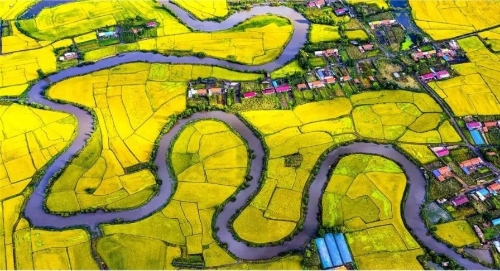 深化城乡融合！推动产业融合！“两大基地”描绘乡村振兴新图景