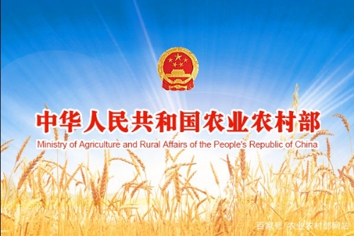 高质量建设现代农业产业园 示范引领农业现代化 ——农业农村部、财政部有关司局负责人就国家现代农业产业园建设有关问题答记者问