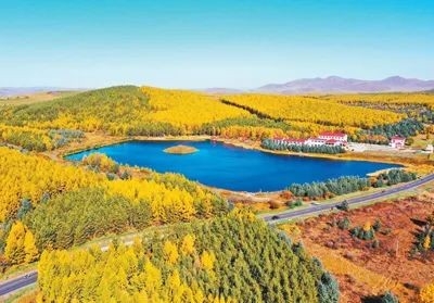 提高乡村善治水平 ——以更大力度推动乡村振兴⑤