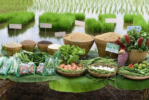 湖北补齐农产品品牌建设短板