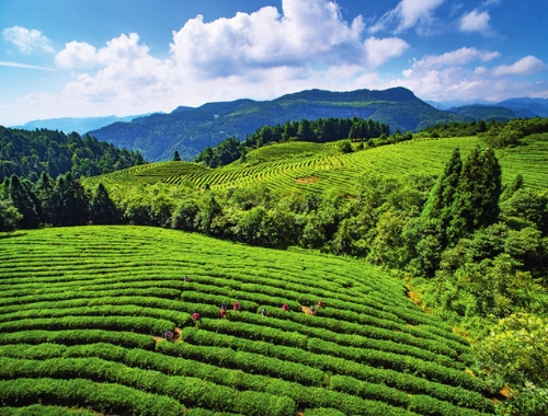 广东银保监局：以绿色金融守护绿水青山，打赢污染防治攻坚战