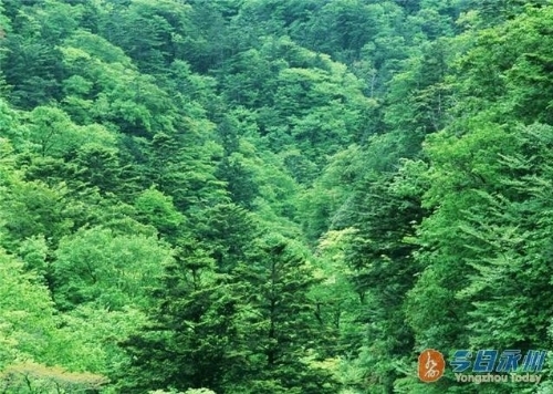 道县乡村生态建设成效显著