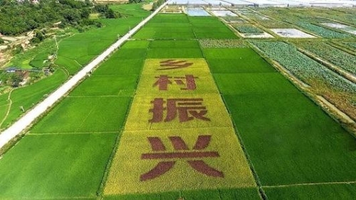 陕西省加强农业技术攻关助力乡村振兴