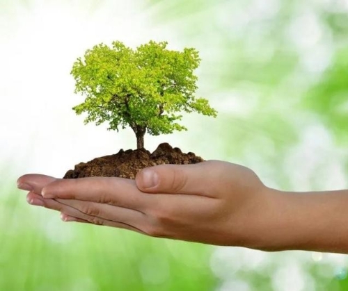 如何加强生态建设实现可持续发展？代表委员热议