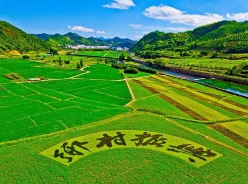 山东打造乡村振兴科技“轻骑兵”