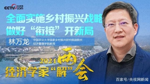 全面实施乡村振兴战略 做好“衔接”开新局——2021·经济学家“解”两会