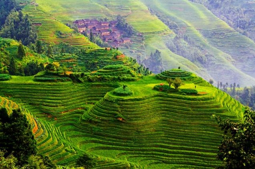  【全国两会大家谈】以“绿色”为犁，耕耘美丽江西