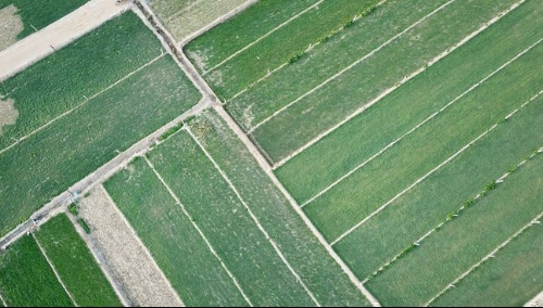习近平时间｜中国科技治沙打造“绿色奇迹”