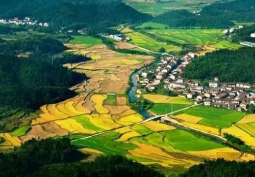 生态优先、绿色发展 擦亮美丽中国底色（人民网）
