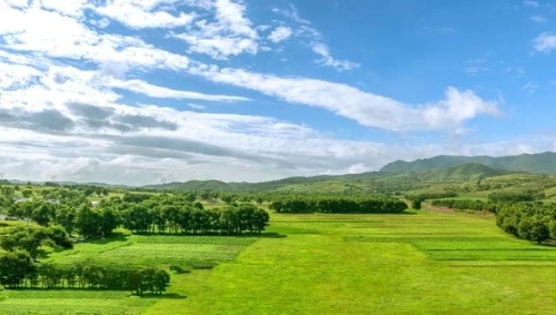 一线丨唐山市全面落实重污染天气应急减排措施 动真碰硬整治钢铁企业环境问题