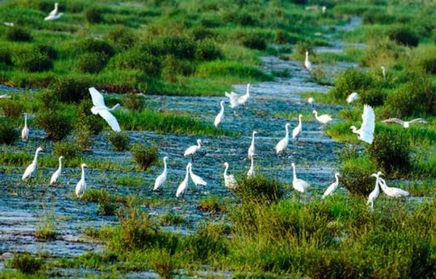 绿色发展示范案例（69）｜国家生态文明建设示范区——河南省平顶山市汝州市