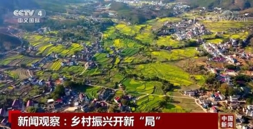 焦点访谈：乡村振兴启新程