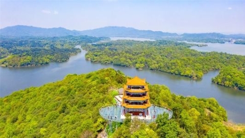 坚决全面彻底抓好突出问题整改 坚定不移走生态优先绿色发展之路
