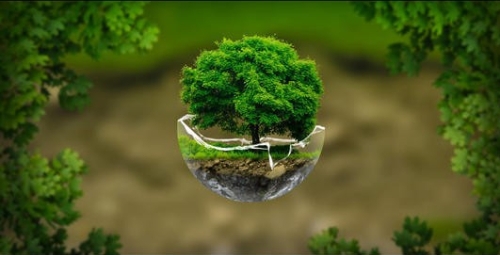 中国将在政策框架中全面纳入气候变化因素 继续增加对绿色债券的配置