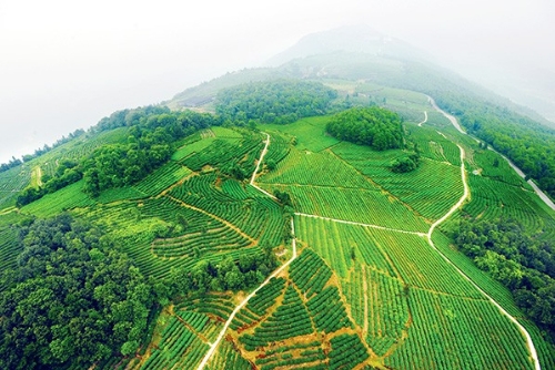 重庆农商行：担当绿色金融“先行者”助力重庆建设山清水秀美丽之地