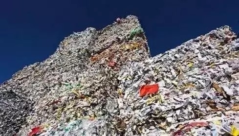 近五十万吨固体废物全部退运出境