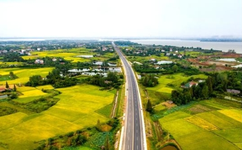 乡镇搞乡村振兴走好这四步，才能带领村民步步高升！