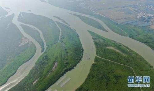 中国开发出首个蓝碳交易项目，对实现碳中和等具有积极意义