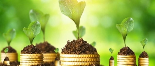 推动经济社会发展全面绿色转型