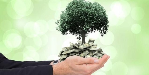 “坚决拿下来”彰显绿色低碳发展坚定决心