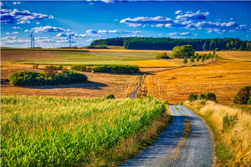 在碳达峰、碳中和战略目标下，光伏制氢有何优势？