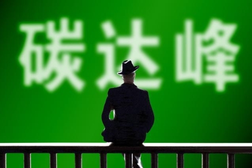 “彰显了中国绿色发展的坚定决心”