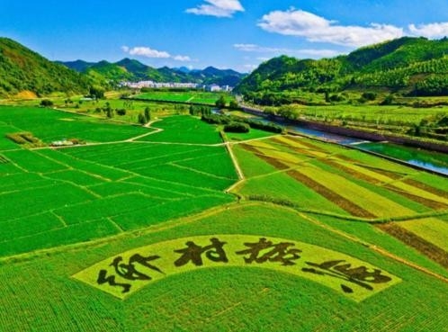 河南新蔡：发展绿色品牌农业 推进农业高质量发展