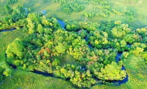 推动绿色发展 促进人与自然和谐共生