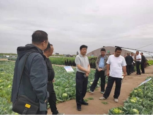 甘州区农业农村局：开展绿色农产品（蔬菜）标准化生产基地验收工作