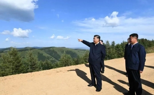 习近平：把绿色经济和生态文明发展好