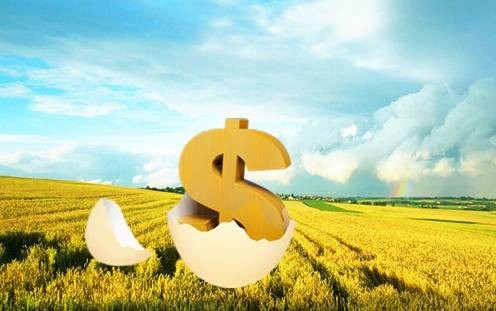 首部农业绿色发展专项规划出台 到2025年将建成10.75亿亩集中连片高标准农田