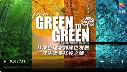 全球连线｜从绿色理念到绿色发展