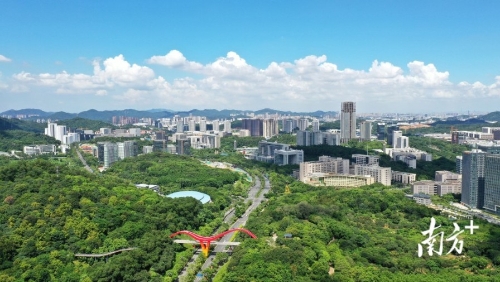 黄埔将建成华南最大绿色化工交易平台