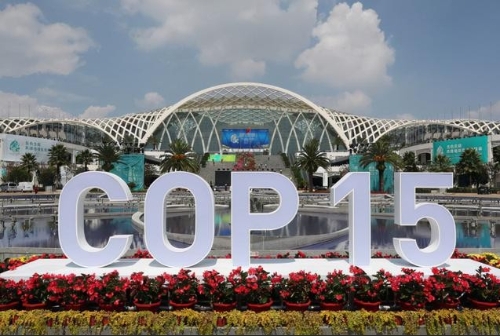 直击COP15｜实现碳达峰碳中和，普通人能做些什么？