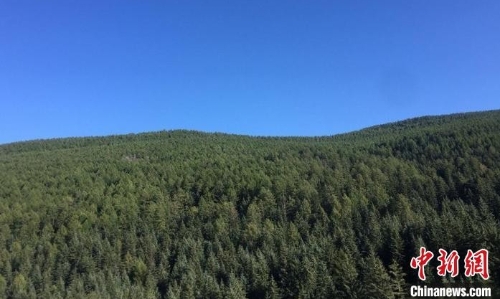 山西公布绿色家底 70余年森林面积增长近10倍