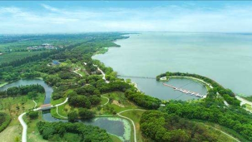 回顾2021：绿色发展成为最鲜明的风向标