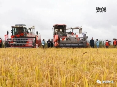 绿色种植成为肇源水稻种植产业核心