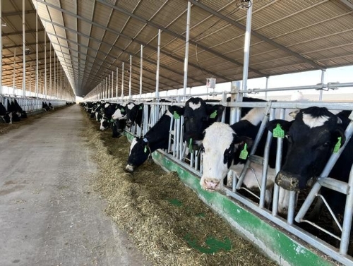 甘肃武威：绿色生产及智能制造助推建设甘肃“乳都”和河西走廊黄金奶源基地