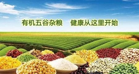 广西：推动绿色食品产业高质量发展
