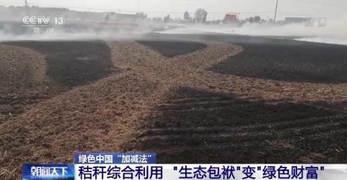绿色中国“加减法”｜农业绿色低碳发展