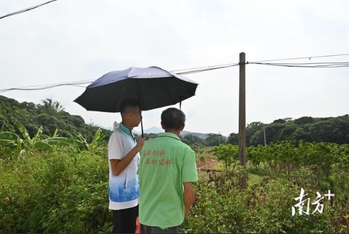 广工师生走进茂名高州，为乡村绿色发展支招