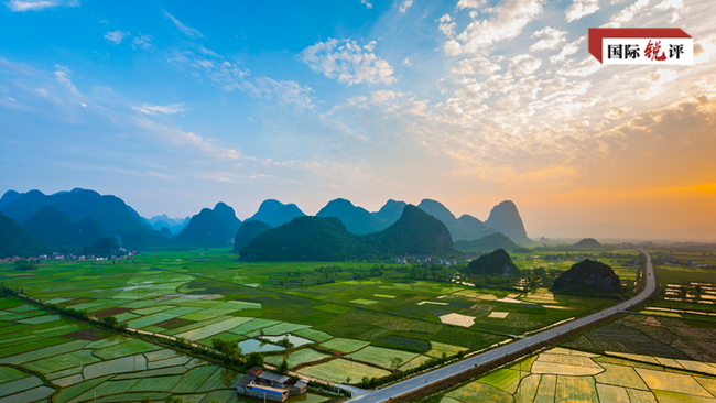 国际锐评丨中国全面绿色转型助力共建清洁美丽世界