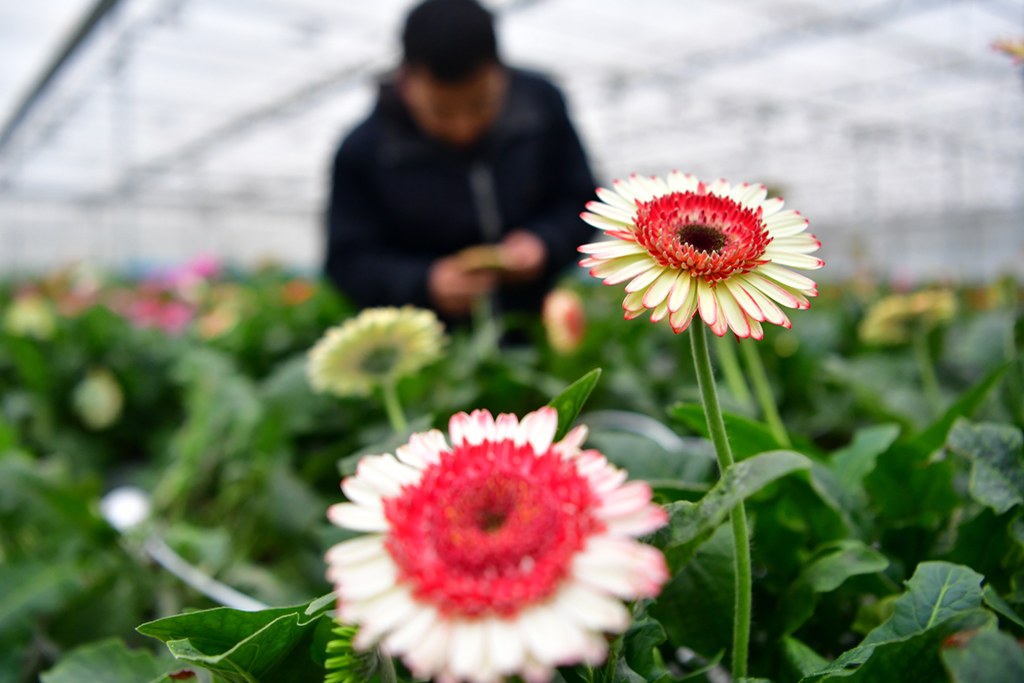 1607531381370000.jpg MAIN202012090908000146788893038.JPG