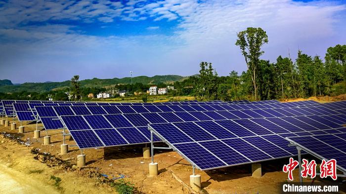 在田丰村，光伏发电基地一年可以带来10万元左右的集体收入。　陈忠 摄