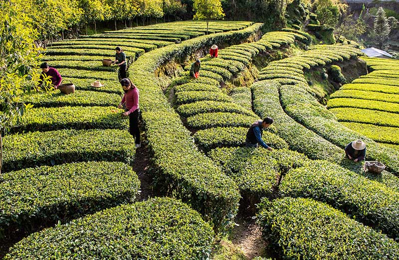 1616602516271147.jpg 01.jpg