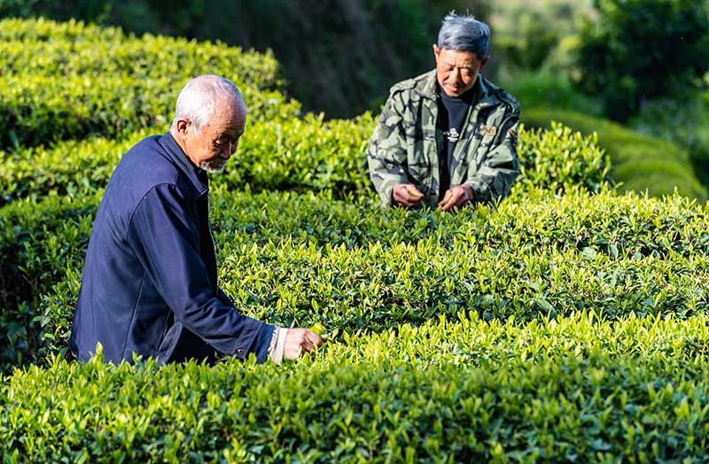 1616602522536507.jpg 02.jpg