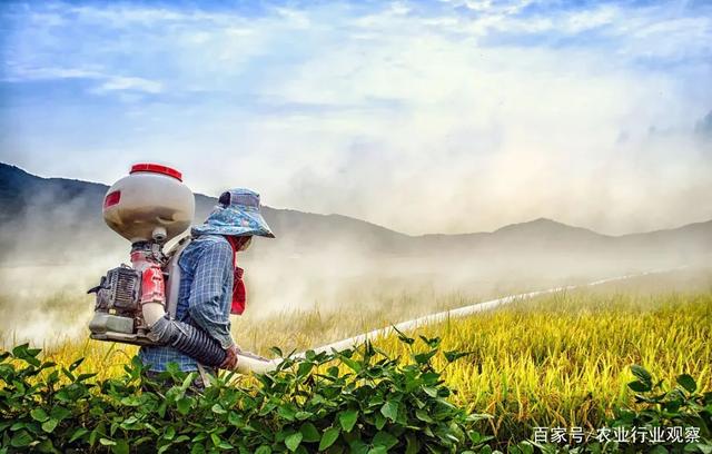 1617718858320336.jpeg d8f9d72a6059252d0ddd9bc84bde453359b5b986.jpeg