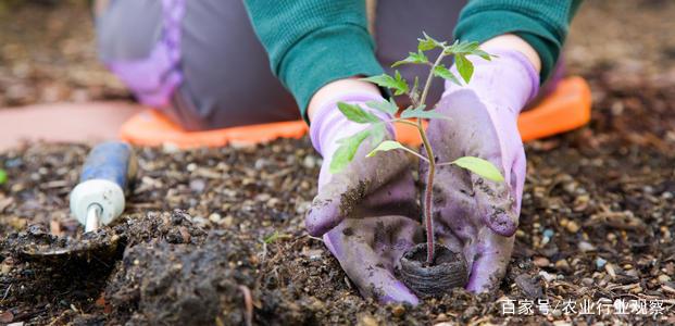 1617718881967120.jpeg e4dde71190ef76c6843a6dfbe253bbf2ad5167c7.jpeg